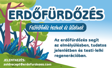 Erdőfürdőzés Zöld Recepttel